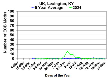 ECB Lexington