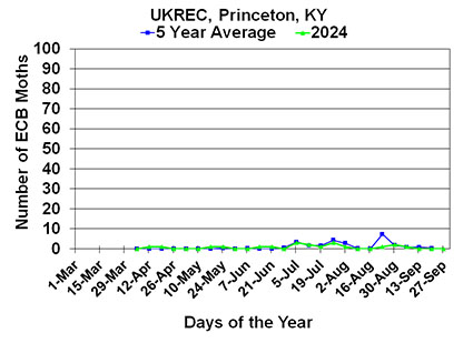 ECB Princeton